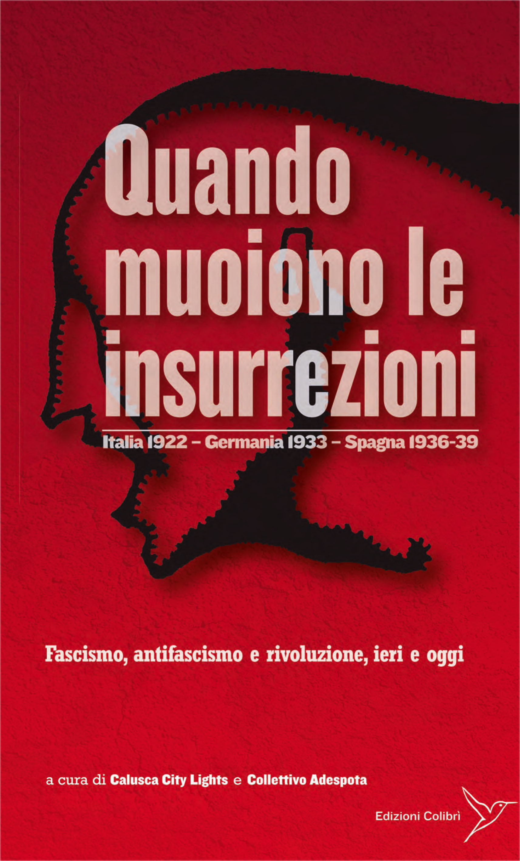 immagine copertina